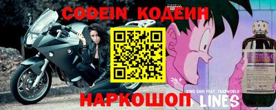 гидра Новозыбков