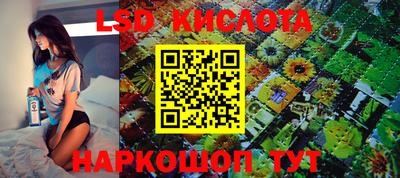 гидра Новозыбков