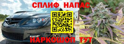 гидра Новозыбков