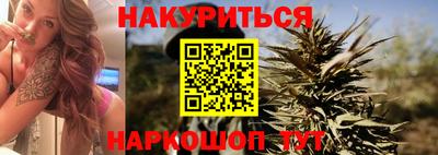 гидра Новозыбков