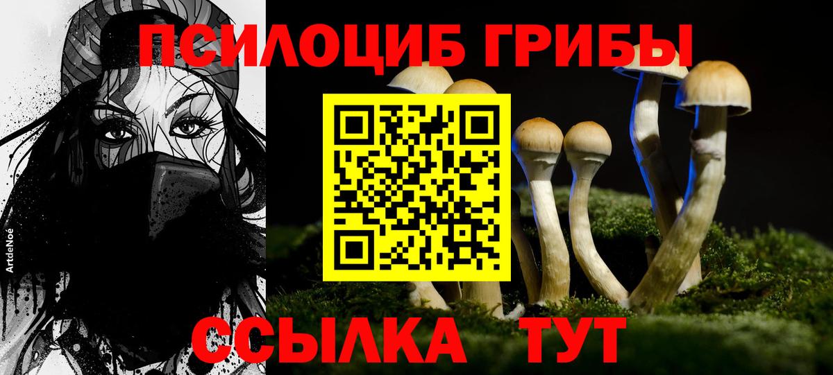 Псилоцибиновые грибы мицелий Смоленск